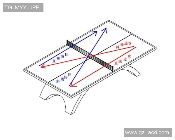 上海乒乓球队区域防守策略分析及其在比赛中的成效与不足