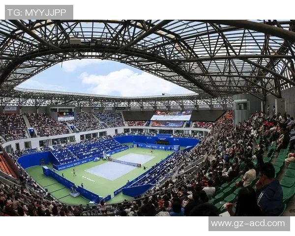 成都网球队配合策略深度对比与分析探讨