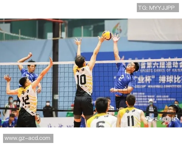 成都网球队战术解析与对比分析深入探讨球队风格与战术布局的异同