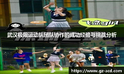 武汉极限运动队团队协作的成功经验与挑战分析
