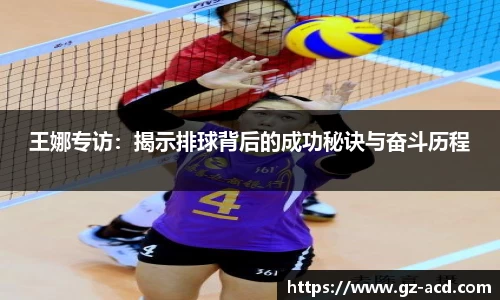 王娜专访：揭示排球背后的成功秘诀与奋斗历程