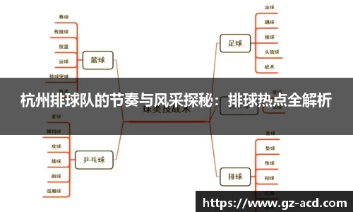 杭州排球队的节奏与风采探秘：排球热点全解析