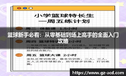 篮球新手必看：从零基础到场上高手的全面入门攻略