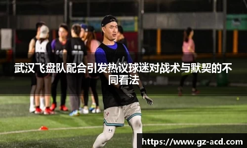 武汉飞盘队配合引发热议球迷对战术与默契的不同看法