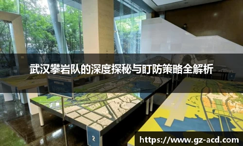 武汉攀岩队的深度探秘与盯防策略全解析