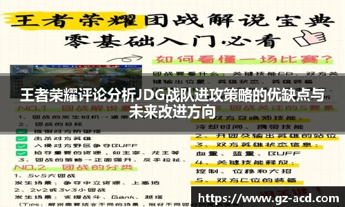 王者荣耀评论分析JDG战队进攻策略的优缺点与未来改进方向